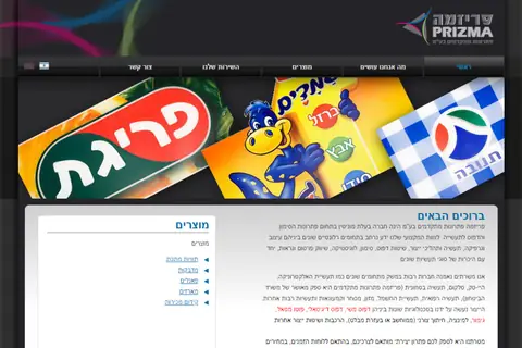פריזמה – פתרונות סימון ודפוס